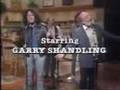 The-Turtles-perform-