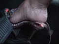Thumbnail #2