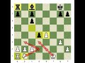 Couples In Chess