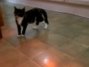 lichtje lichtje