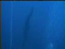 Freediving-Record-Fr