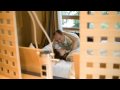 higher love   sonjas und dirks hochzeitsfotoclip