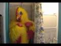 Parodie du clip Fais la poule de Sebasto !!*