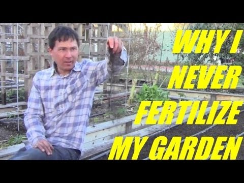 how to fertilize a vegetable garden