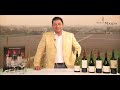 Cata online - Parte 1