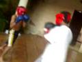 videos de erw er