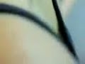 http://www.myvideoport.echoz.com