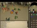videos de Kalphite Queen Solo - Runescape
