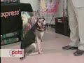 See video