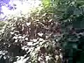 SHINE24-MUNAR-NOKIA5300