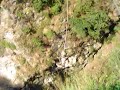 Bungy Jump in Bhote Koshi