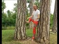 Video developpement durable energie