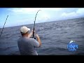 Billfishing