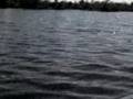MULLET FISHING MILTON FLORIDA 4