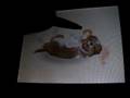 videos de Nintendogs Help and Advice: Advance/Combo Tricks: Breakdance Part 3