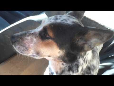 Chelsea and Wanabe Vavu -