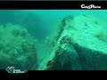 c�t&p�che.fr - vid�o d'un tir en chasse sous marine sur un quatrupl� de roug�