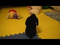 うたう犬動画