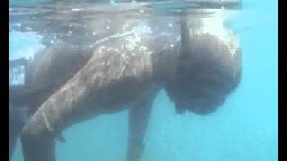 IV Campeonato gallego de cazafotosub en apnea