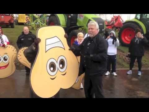 how to check testicles