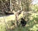 Airsoft getxo en en el cuartel de Nanclares