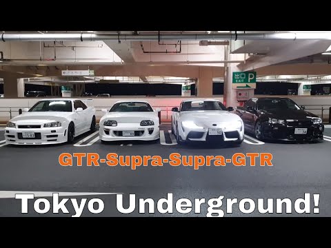 動画