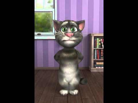 EL GATO DE OJOS VERDES el gato de ojos verdes: