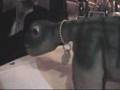Pleo Robot: Latest Prototype at CES 2007