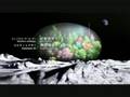 Kokia Origine