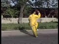 Song-Style Xingyiquan - Seventeen Postures