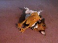Duck-Wrestle-A-Jack-