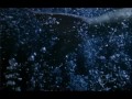 H20 : Just Add Water ~ Bring Me To Life