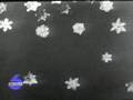 Suzy Snowflake