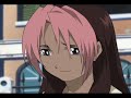 Rose Tribute Rose Tribute