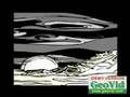 Assistir ao v�deo
