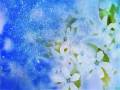 Frosted-Windows.mp4