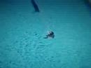 felipe bunggy-jumping