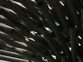 singing-ringing-tree-burnley-lancashire.html