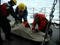 Coast Guard Icebreaker Healy Video