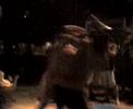 rabby flameno - mma