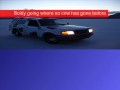 Mr Moo sets a new bovine land speed record