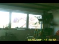 Align T-rex 100 Schwebeflug Hover
