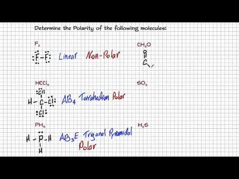 how to determine polarity