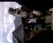 videos de Eggman