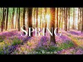 AMAZING COLORS OF SPRING 4K NATURE RELAXATION ..