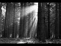 Video screenshot