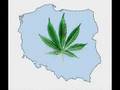 Hemp gru - zjedz skręta