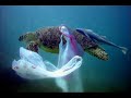 xfavor conciencia.mpg