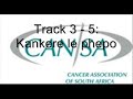 CANSA Kit ya ho Sebetsana le Kankere track 3 part 5 Cancer--Coping with Cancer