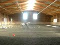 Reiten Möhrchen